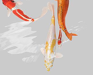 《死亡信号》steam页面上线 监控模拟惊悚新游